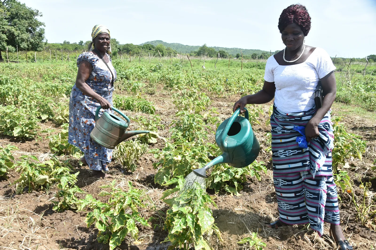 Soutenir les femmes, nourrir les communautés